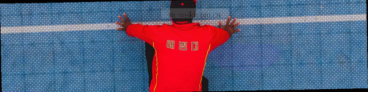 深绿色布纹上加金色细网格，作为 FAQ 页眉
